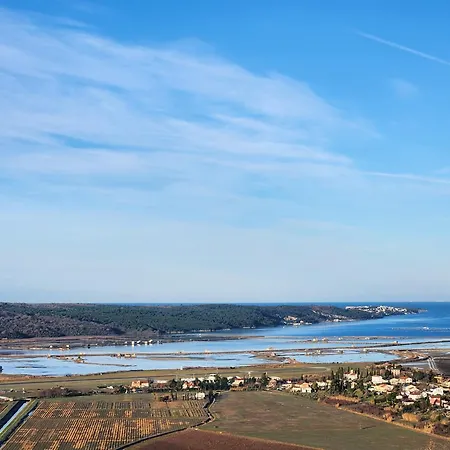 Apartman Apartma Nemo