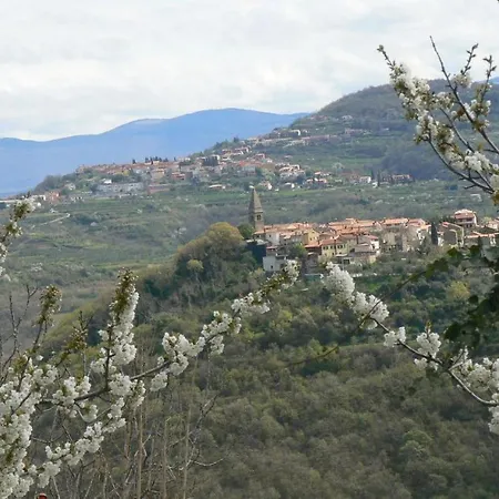 Apartma Nemo Apartman Izola