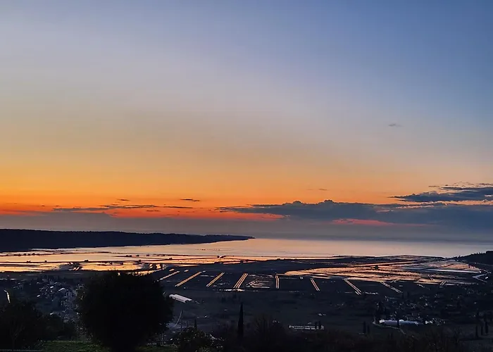 Lejlighed Apartma Nemo *