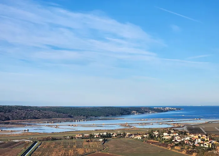 Lejlighed Apartma Nemo